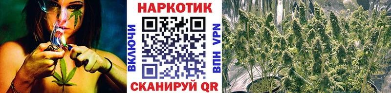 Магазины продажи наркотиков Инсар КОКАИН  БУТИРАТ  Псилоцибиновые грибы  Меф  ЭКСТАЗИ  Alpha PVP 