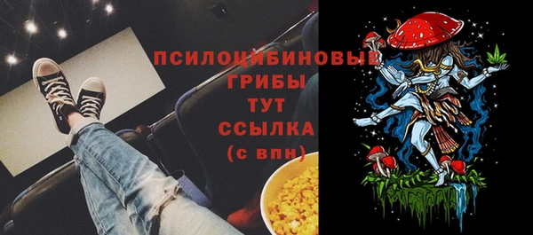 МДПВ Абинск