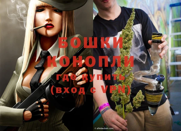 PSILOCYBIN Алзамай