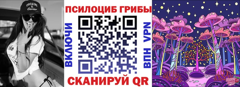 где купить наркотик  Инсар  Галлюциногенные грибы мицелий 